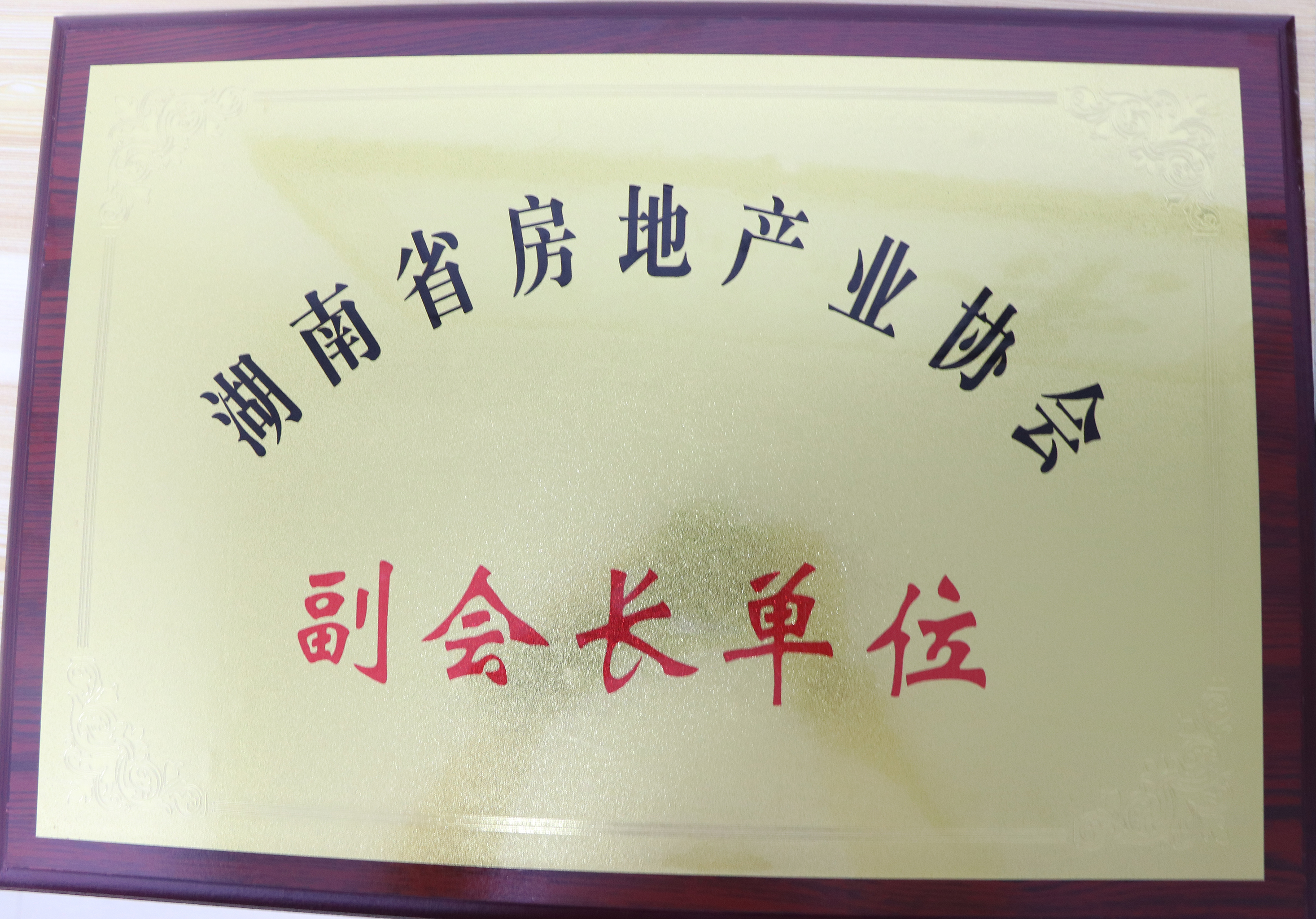湖南省房地產(chǎn)業(yè)協(xié)會副會長單位