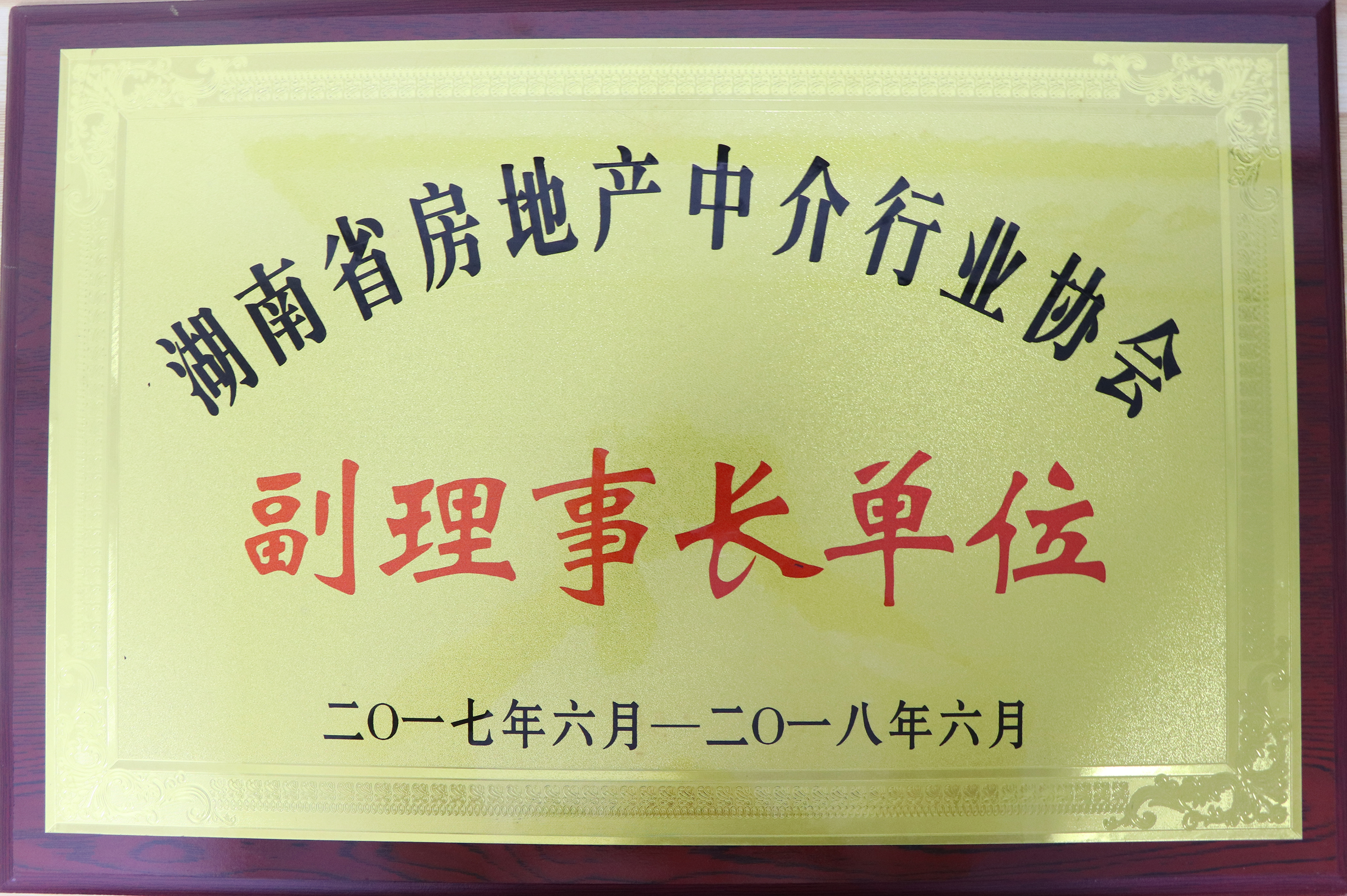 2017-2018年度湖南省房地產(chǎn)中介行業(yè)協(xié)會副理事長單位