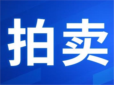 希爾得拍賣|衡東縣公共機(jī)構(gòu)屋頂光伏發(fā)電項(xiàng)目27年特許經(jīng)營(yíng)權(quán)拍賣公告
