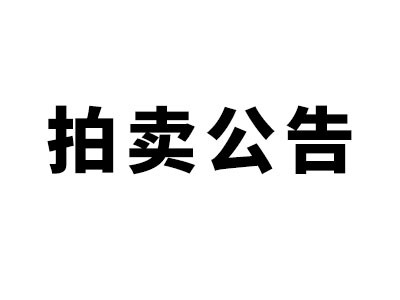 希爾得拍賣|抵稅財產(chǎn)第一次拍賣公告