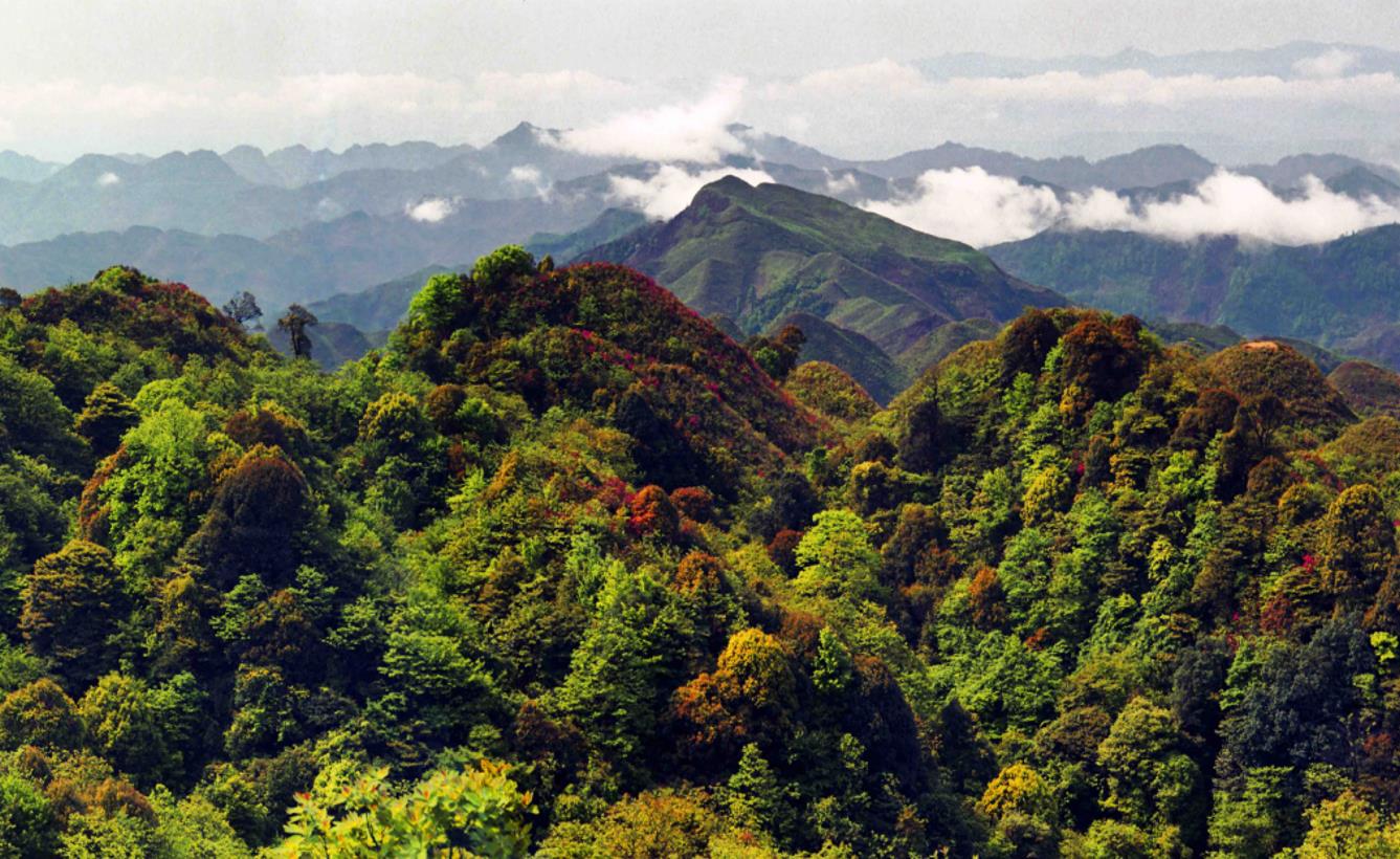 貴州省黔西南州安龍縣國(guó)家儲(chǔ)備林基地建設(shè)林權(quán)資產(chǎn)評(píng)估